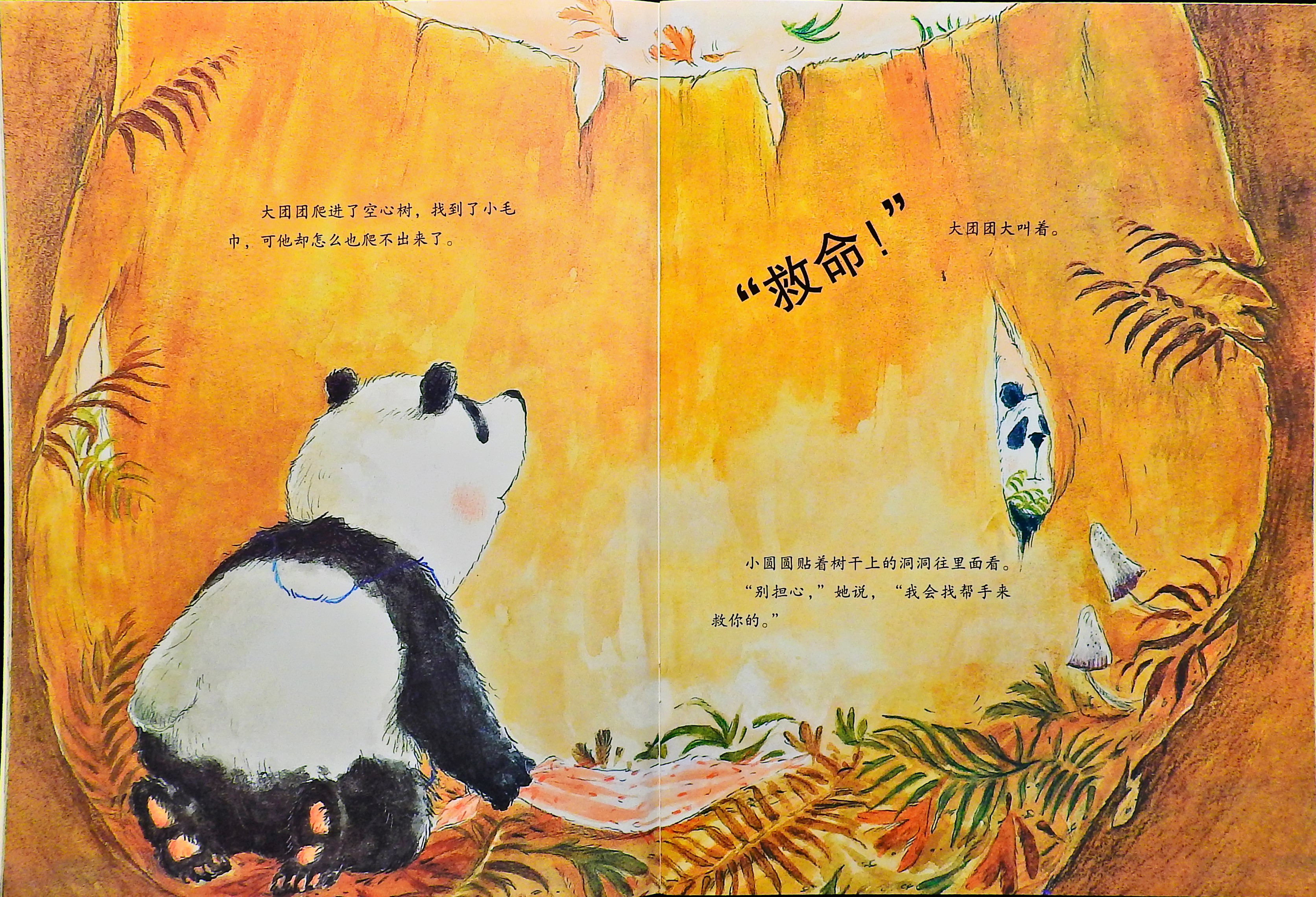 大团团和小圆圆 (09),绘本,绘本故事,绘本阅读,故事书,童书,图画书,课外阅读